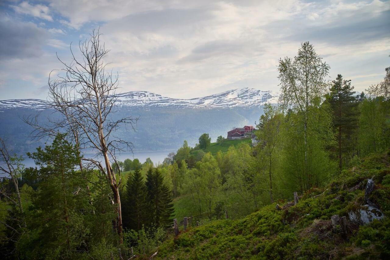 Panorama View Along The Fjord In Stryn Villa Blakset Exterior foto